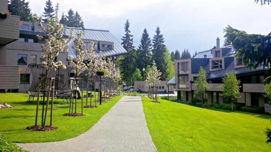Anensky Apartman C303 - S O2 Tv A Stabilni Rychlou Wifi, S Moznosti Dokoupeni Bufetovych Snidani - By Relax Harrachov Exterior foto